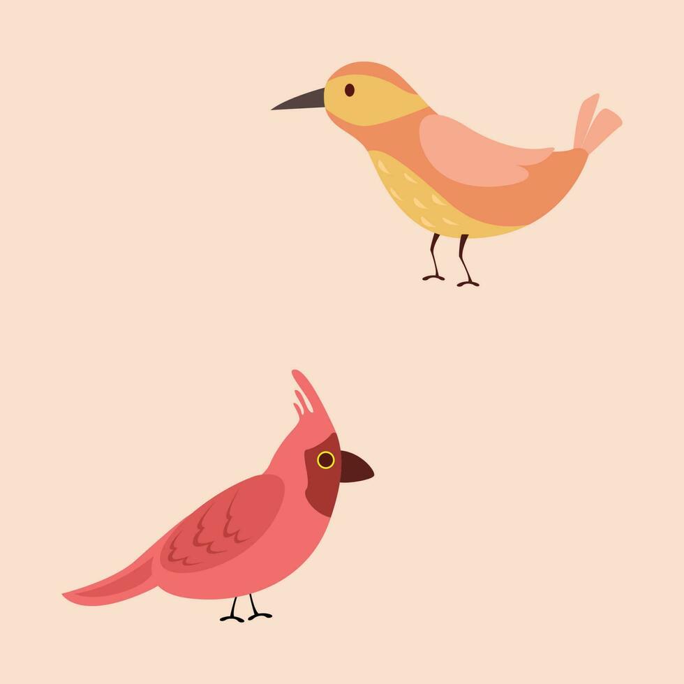 Birds vector set premium vector illustration