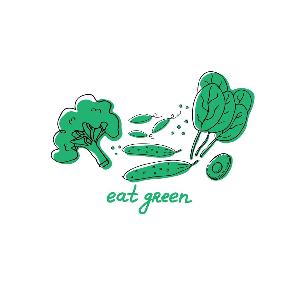 Healthy food. Flat illustration of spinach, broccoli, green peas and cucumber with text Eat green. Hand drawn. Ideal for eco market, organic products, labels.Vector vector