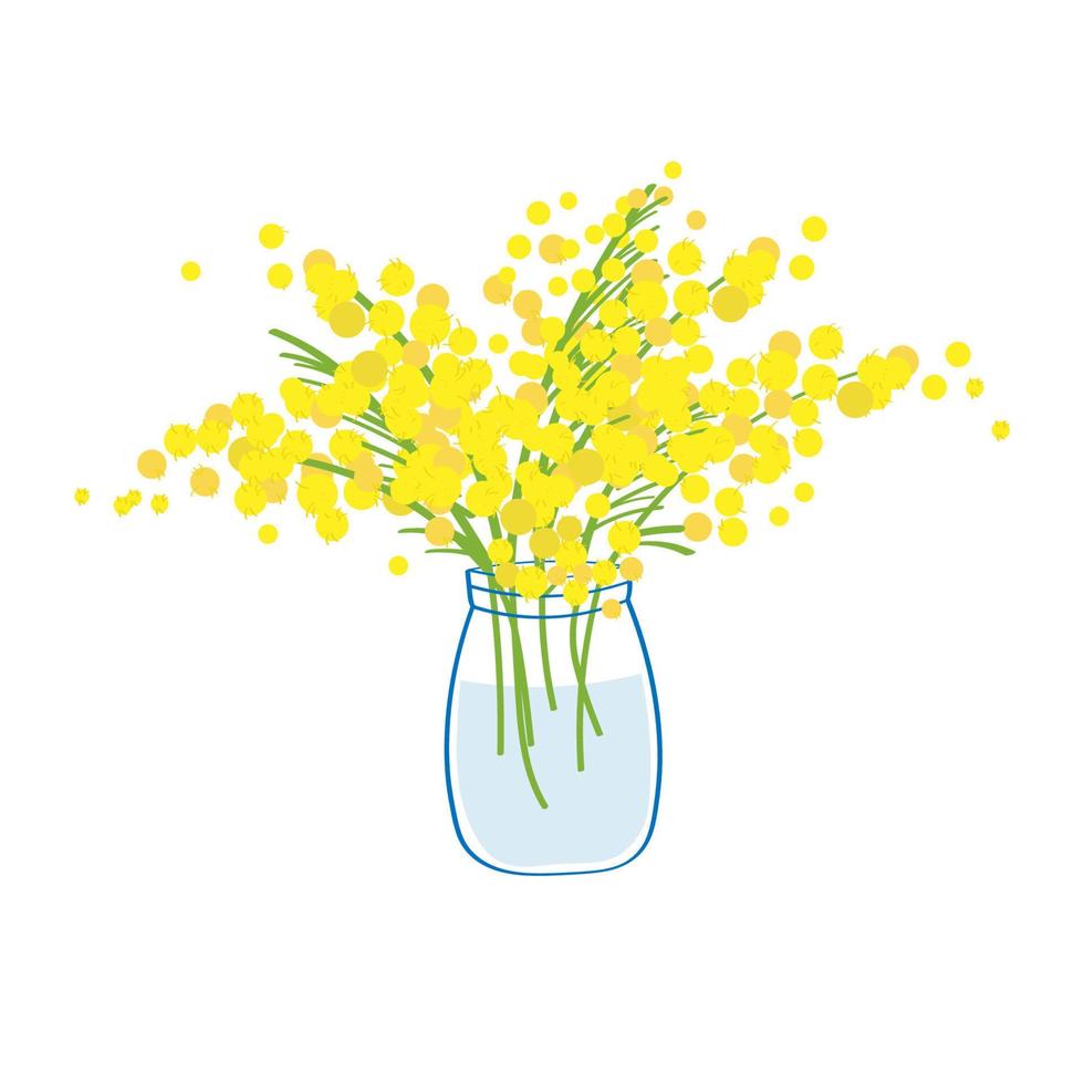 A pretty jar with a bouquet of yellow mimosa flowers. Flat illustration on isolated background.Vector vector