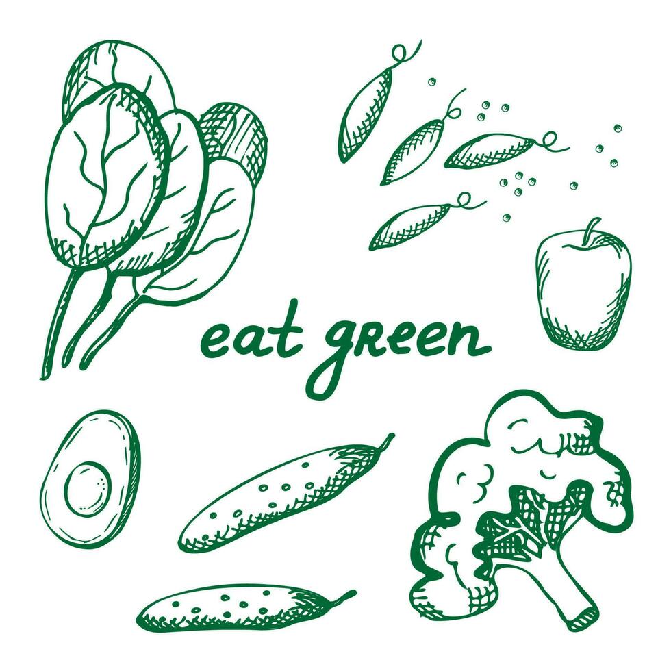 Healthy food. Flat illustration of spinach, broccoli, apple, green peas and cucumber with text Eat green. Ideal for eco, organic products market, labels.Vector vector