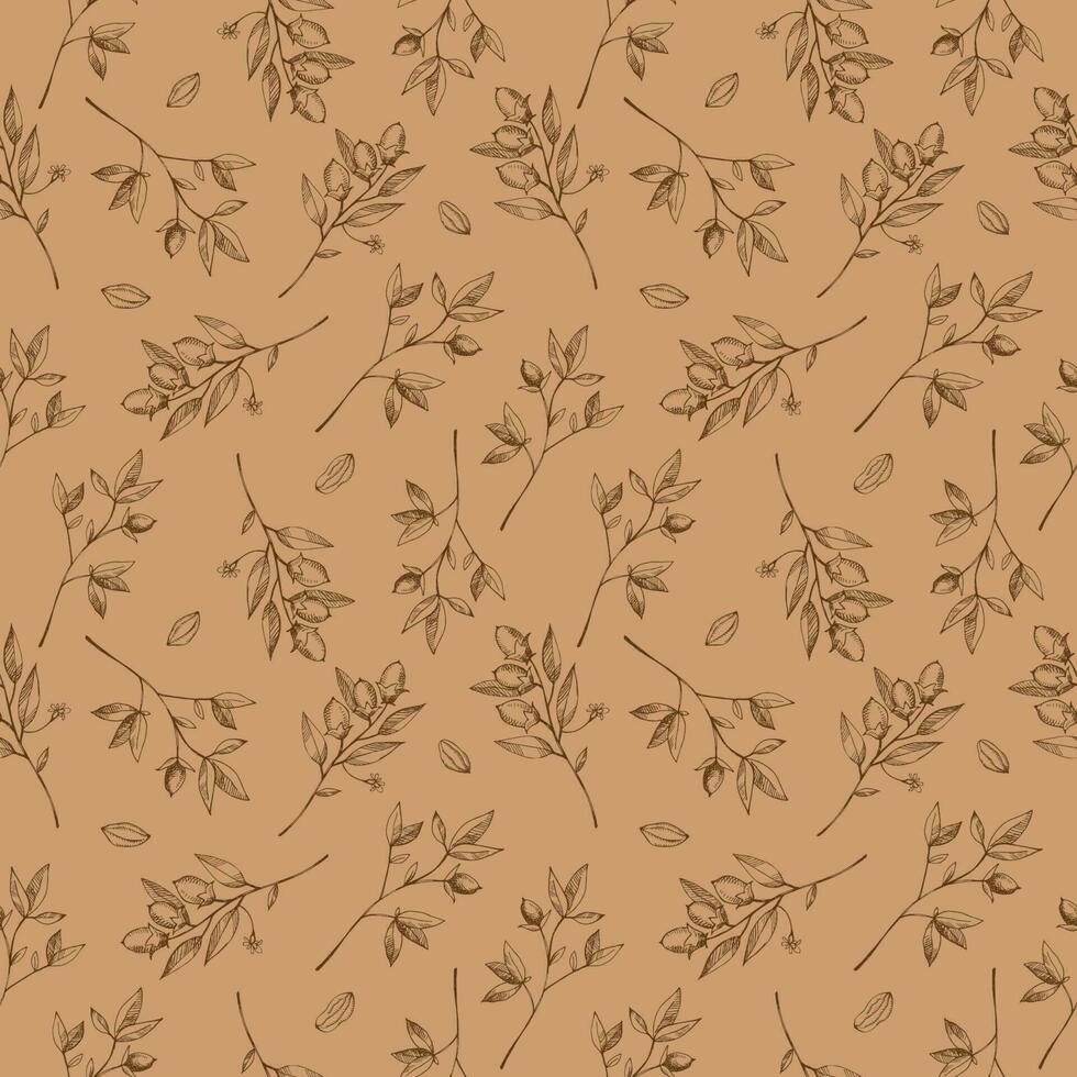 Seamless pattern with cocoa plant. Hand drawn illustration of cocoa beans, leaves, cocoa tree. Floral motif, repeating background. Ornament in brown and beige colors vector