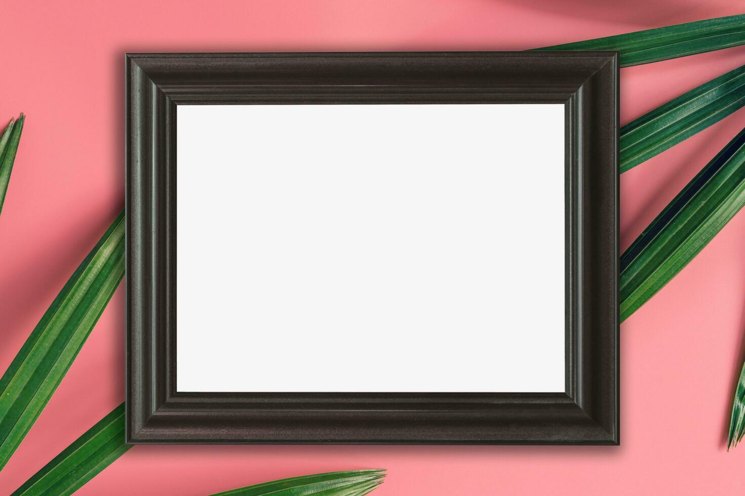 wood frame and green leaf on pink pastel color background. tropical background. photo