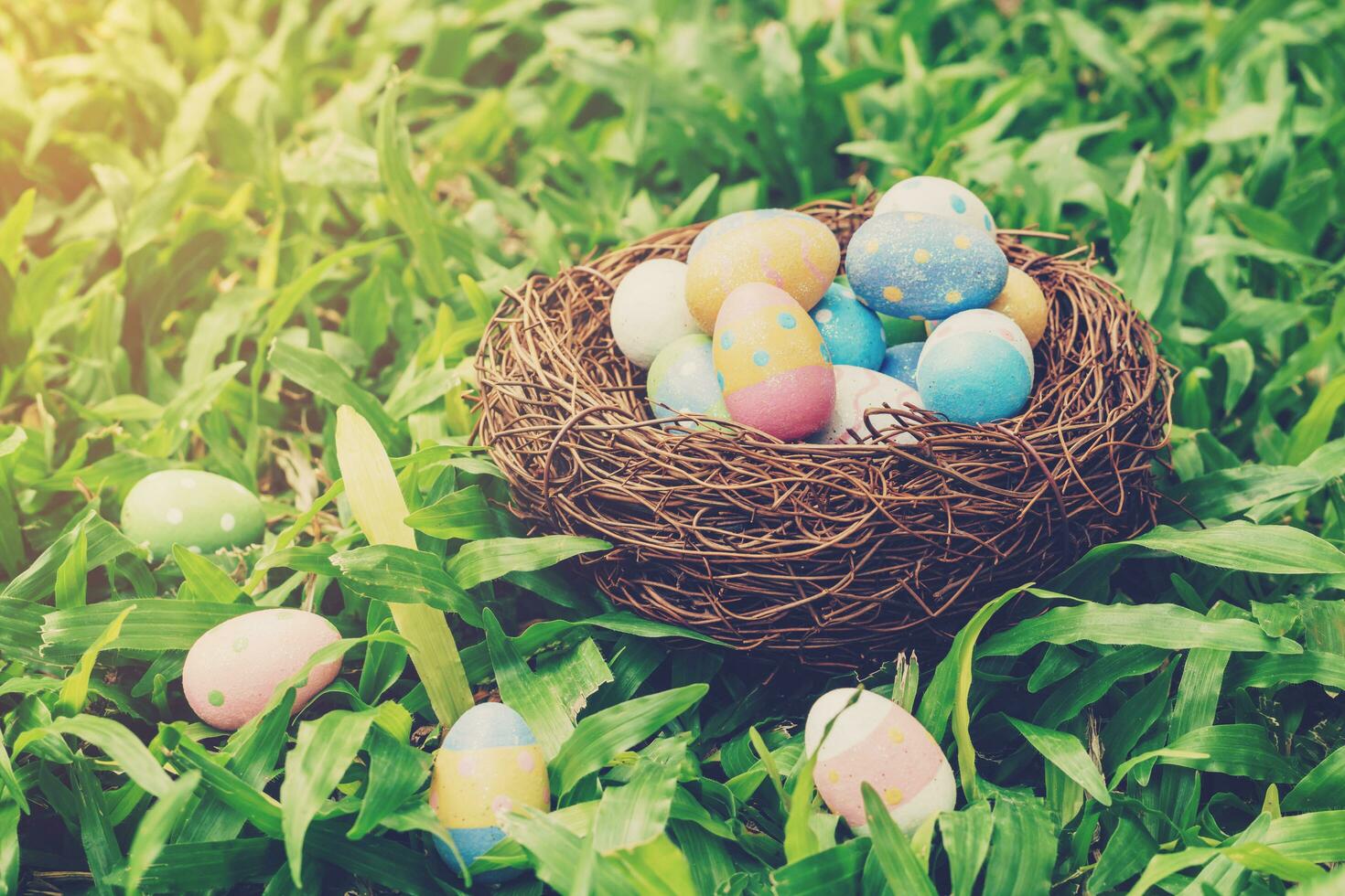 Colorful easter eggs and nest on green grass with sunlight. vintage toned. photo
