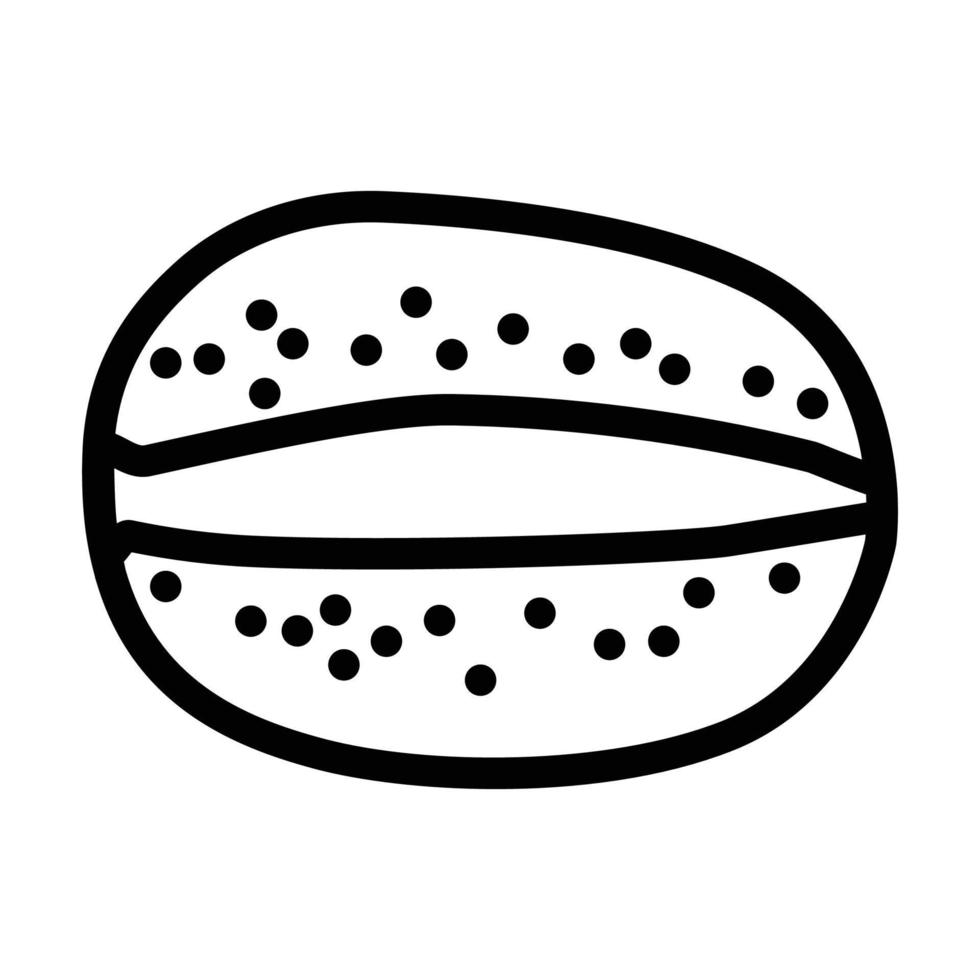 cut kiwi fruit fresh line icon vector illustration