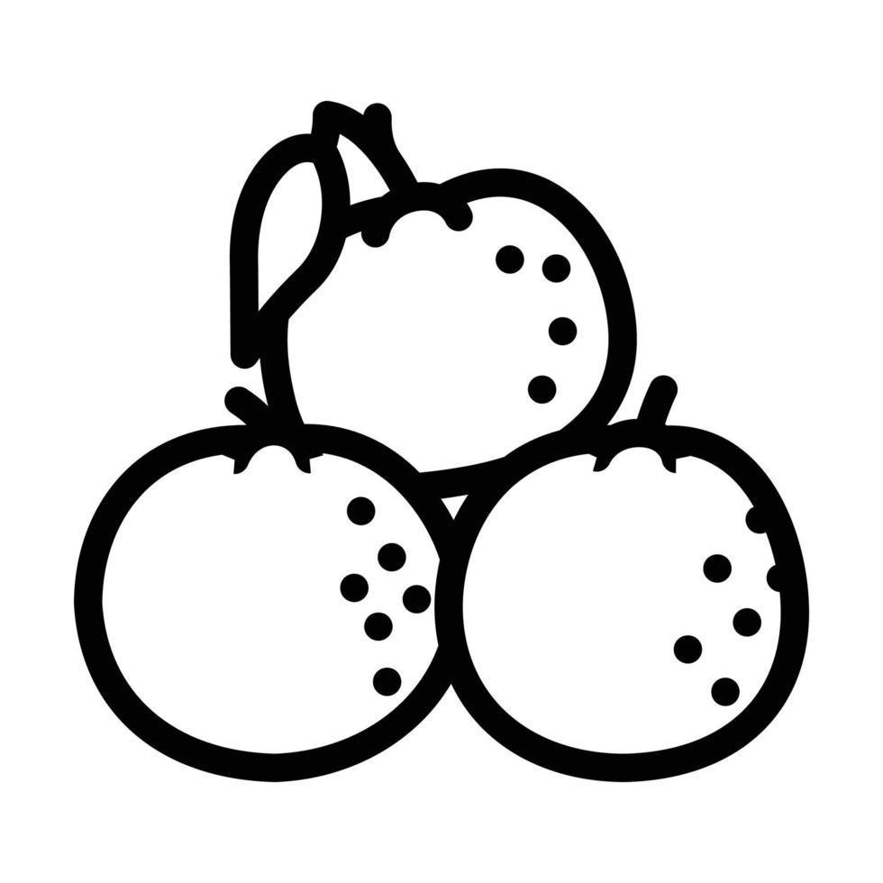slice tangerine clementine peeled line icon vector illustration