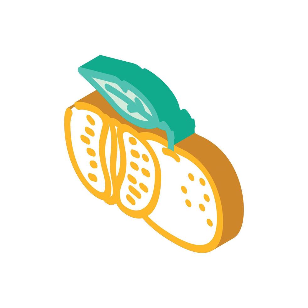 cut tangerine leaf isometric icon vector illustration