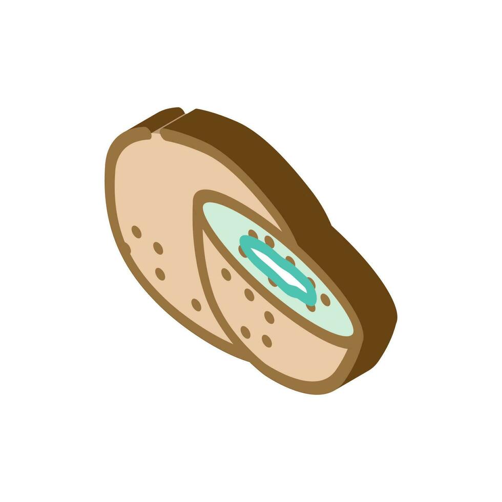 kiwi healthy isometric icon vector illustration