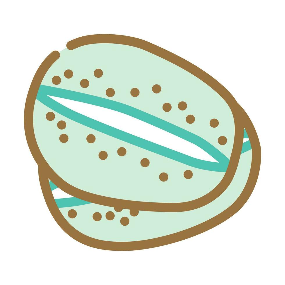 cut green kiwi color icon vector illustration