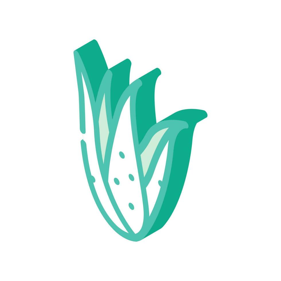 planta áloe vera isométrica icono vector ilustración