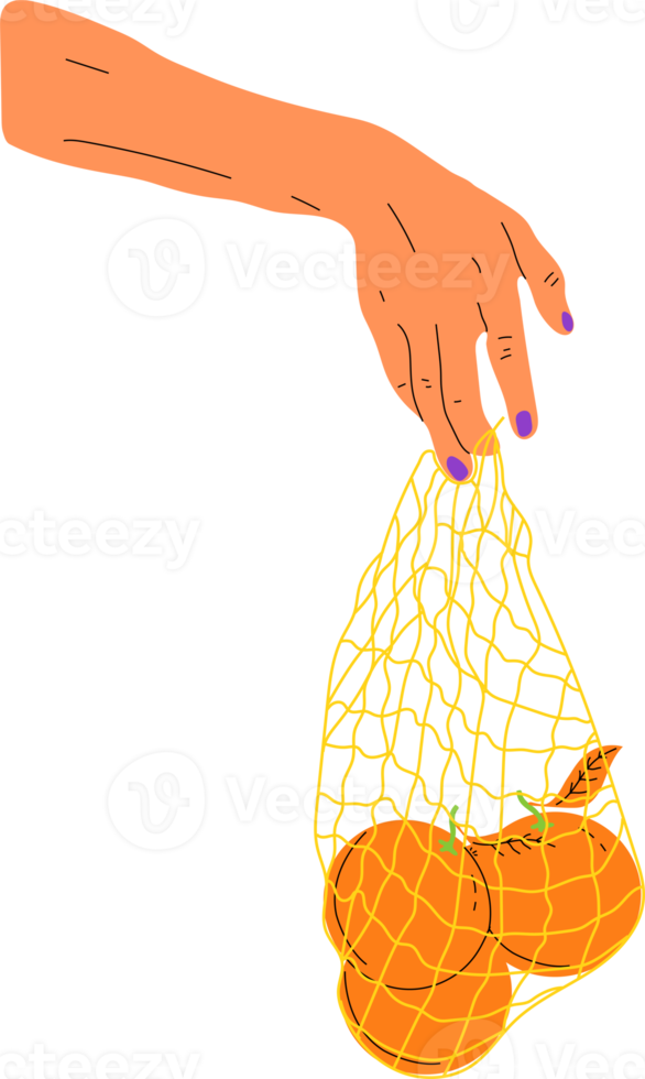 hand- houden eco tas. mensen brengen eigen zak voor boodschap. herbruikbaar plastic vrij pak met voedsel. nul verspilling producten voor boodschappen doen png