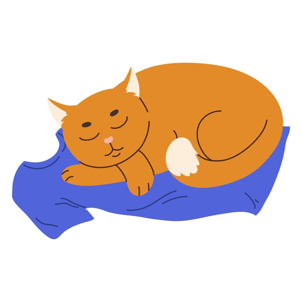 Cute ginger cat sleeping on the owner's t-shirt . Domestic animal flat vector illustration