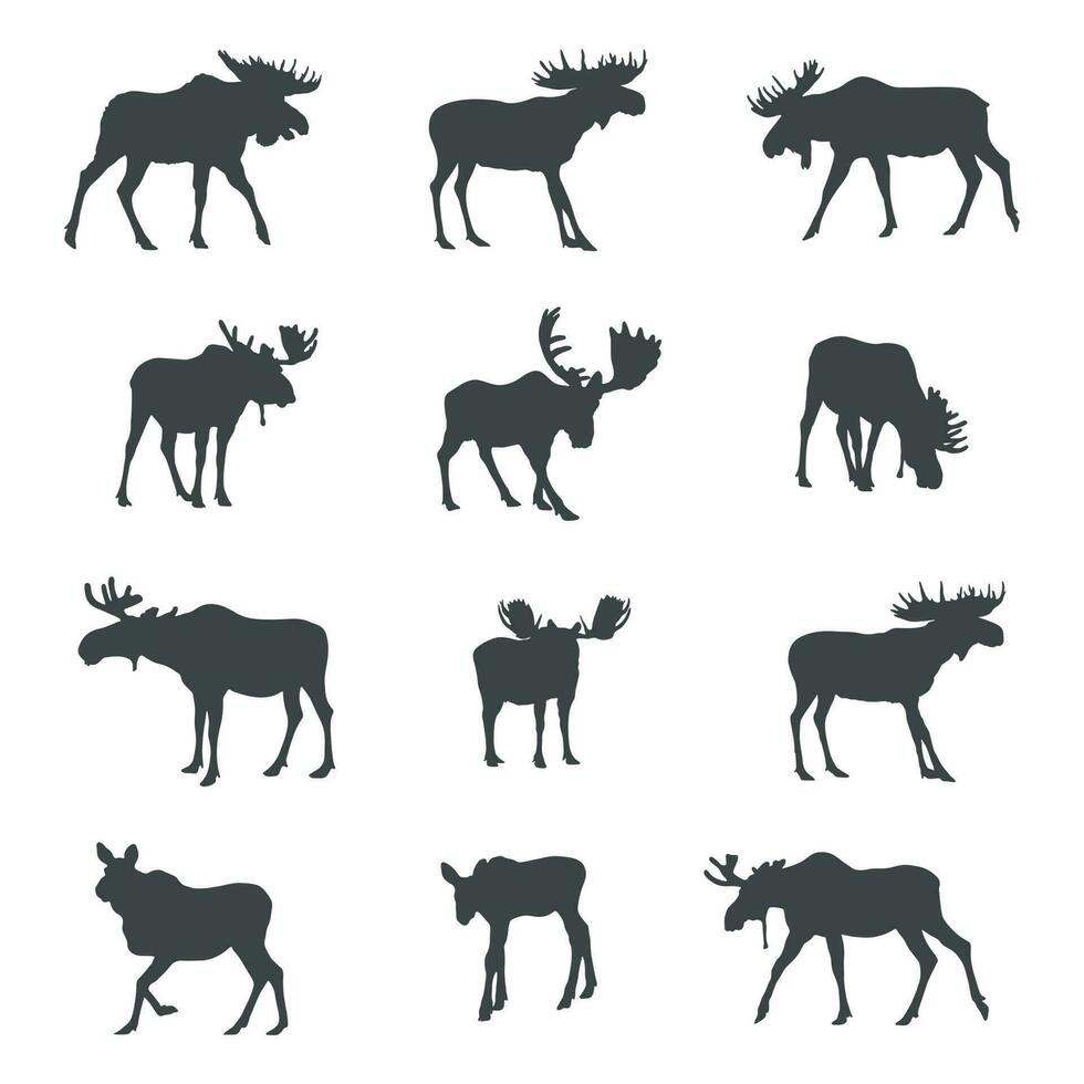 Moose silhouettes, Moose silhouette set vector