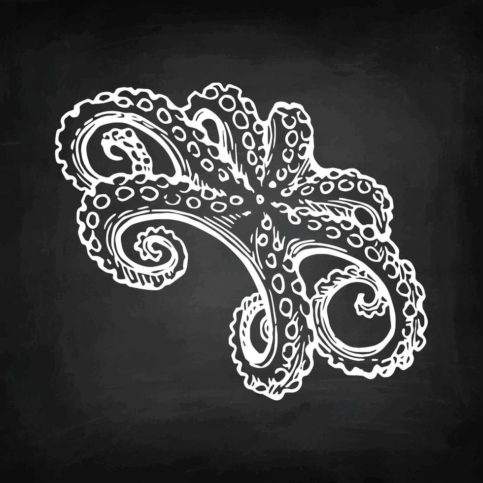 Octopus chalk sketch on blackboard background. Hand drawn vector illustration of seafood. Retro style.