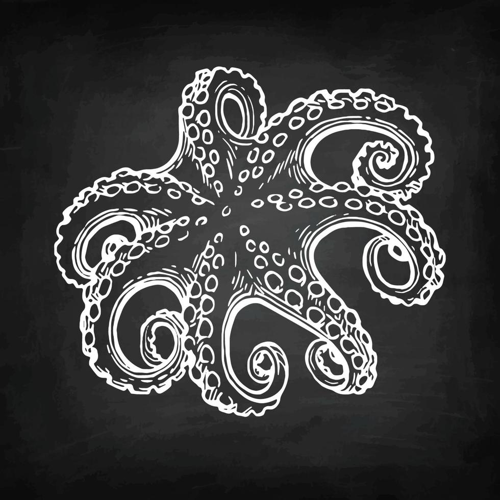 Octopus chalk sketch on blackboard background. Hand drawn vector illustration of seafood. Retro style.
