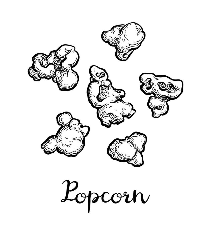 Popcorn. Ink sketch isolated on white background. Hand drawn vector illustration. Retro style.