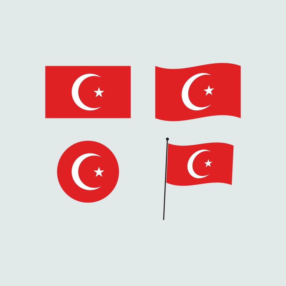 Flag of the world turkey Design Template vector
