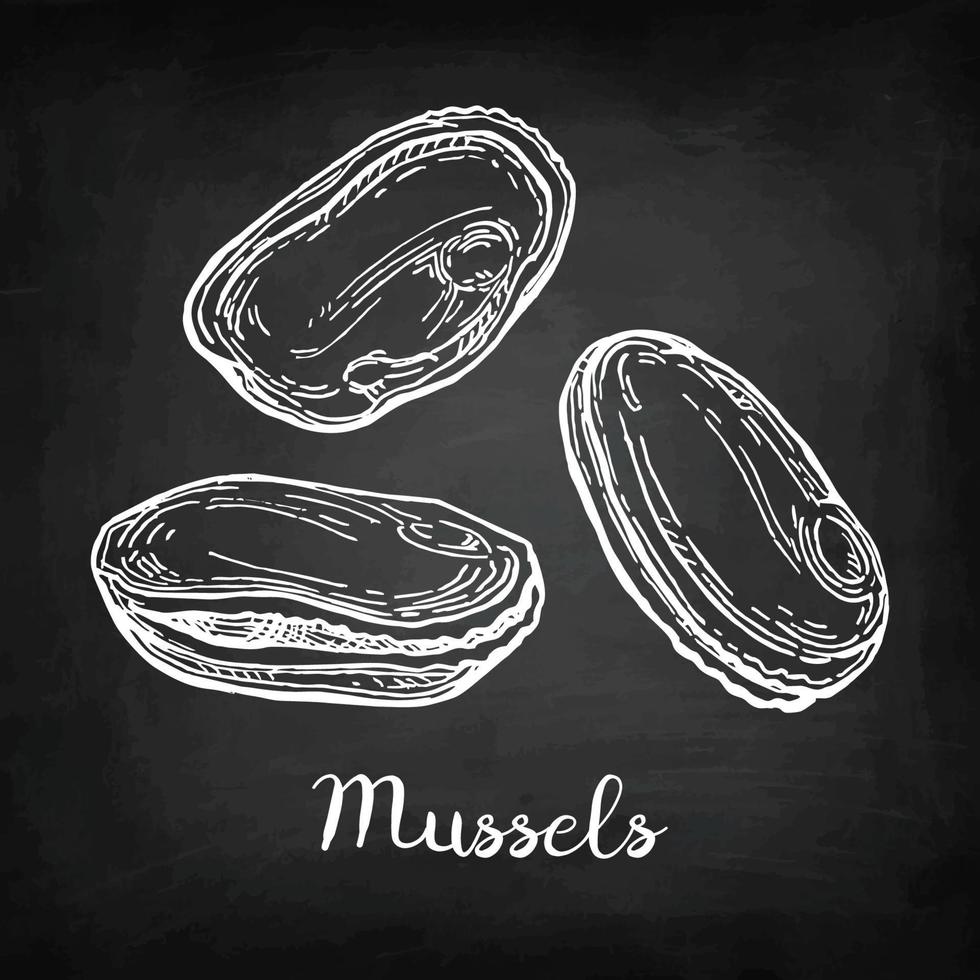 Mussels. Chalk sketch on blackboard background. Hand drawn vector illustration. Retro style.