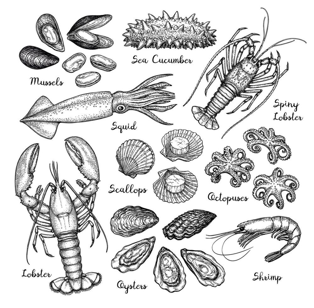 Seafood big set. Ink sketch isolated on white background. Hand drawn vector illustration. Retro style.