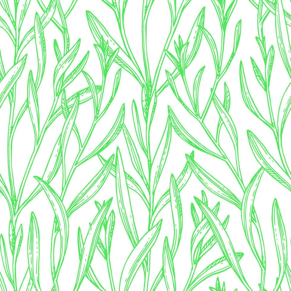 Seamless pattern with tarragon. Summer or spring background. Hand drawn vector illustration.