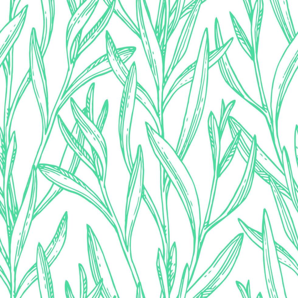 Seamless pattern with tarragon. Summer or spring background. Hand drawn vector illustration.