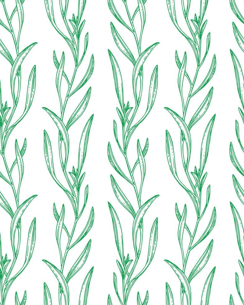 Seamless pattern with tarragon. Summer or spring background. Hand drawn vector illustration.