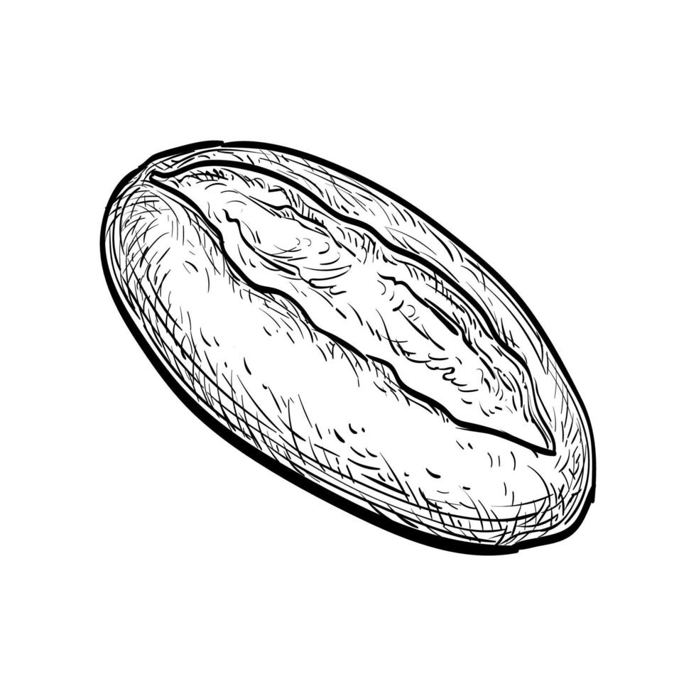 pan de un pan. mano dibujado vector ilustración. aislado en blanco antecedentes. Clásico estilo.