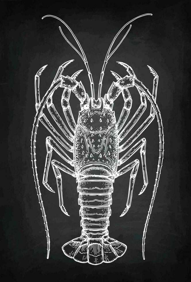 Lobster. Chalk sketch on blackboard background. Hand drawn vector illustration. Retro style.