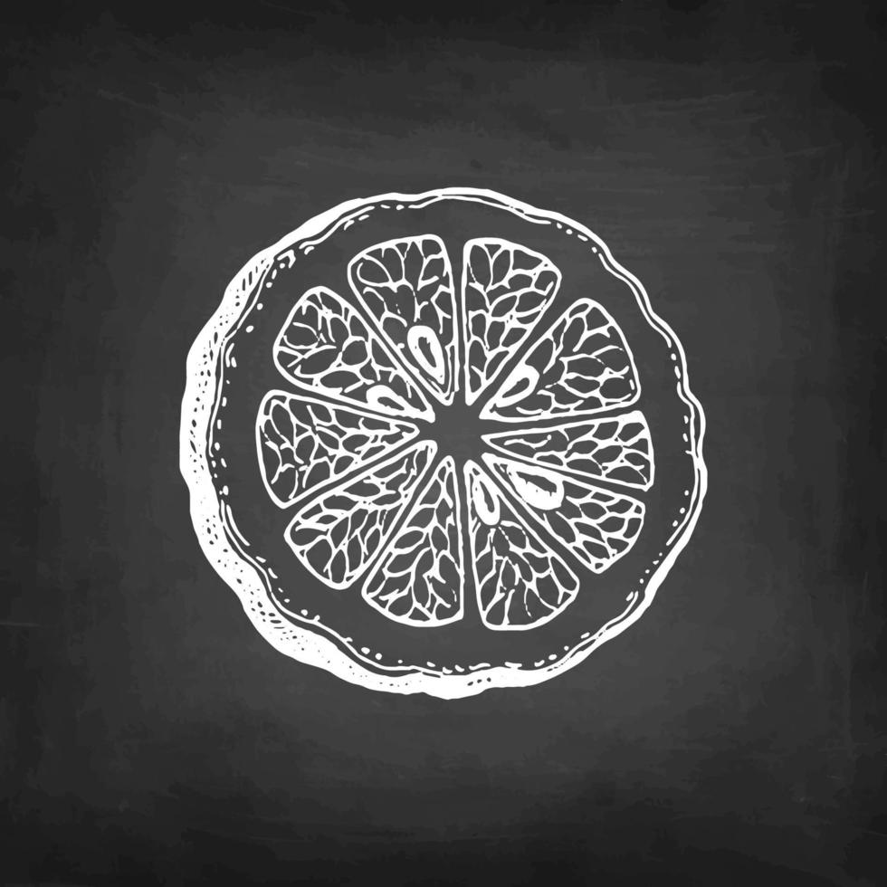 Slice of bergamot orange. Chalk sketch on blackboard background. Hand drawn vector illustration. Retro style.