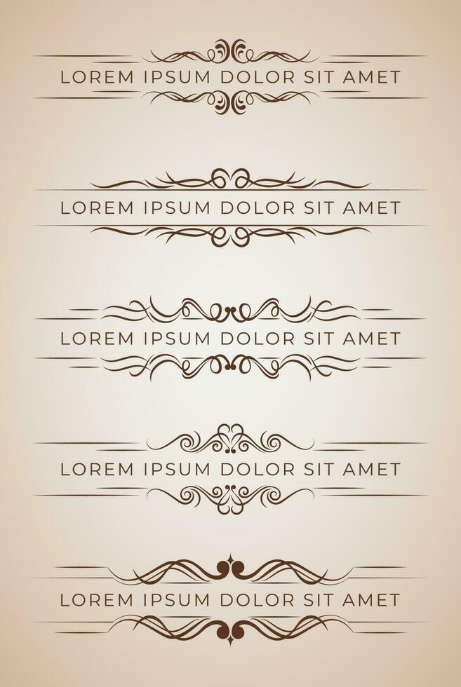 Ornament separator. text line vintage ornament element  wedding decoration divider. vector