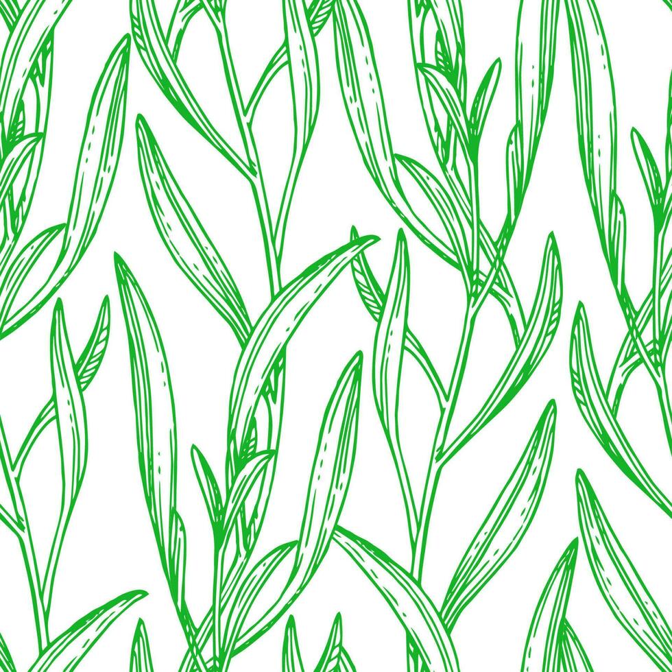 Seamless pattern with tarragon. Summer or spring background. Hand drawn vector illustration.