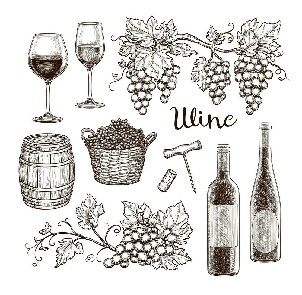 Wine set isolated on white background. Hand drawn vector illustration. Vintage style.