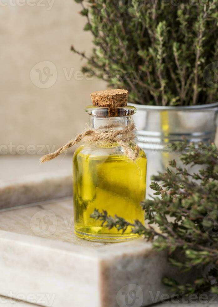 Thyme essential oil and fresh thyme sprigs on table, ingredient for cosmetics and cuisin photo