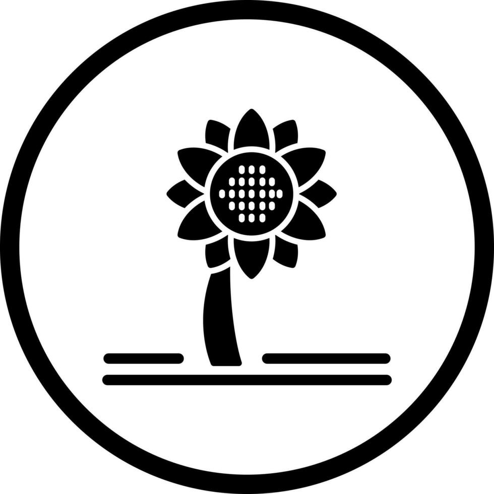 Sunflower Vector Icon