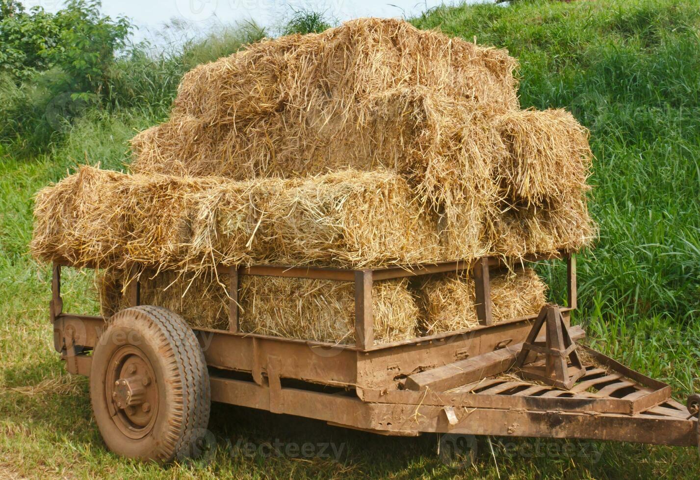 carro de heno en la granja foto