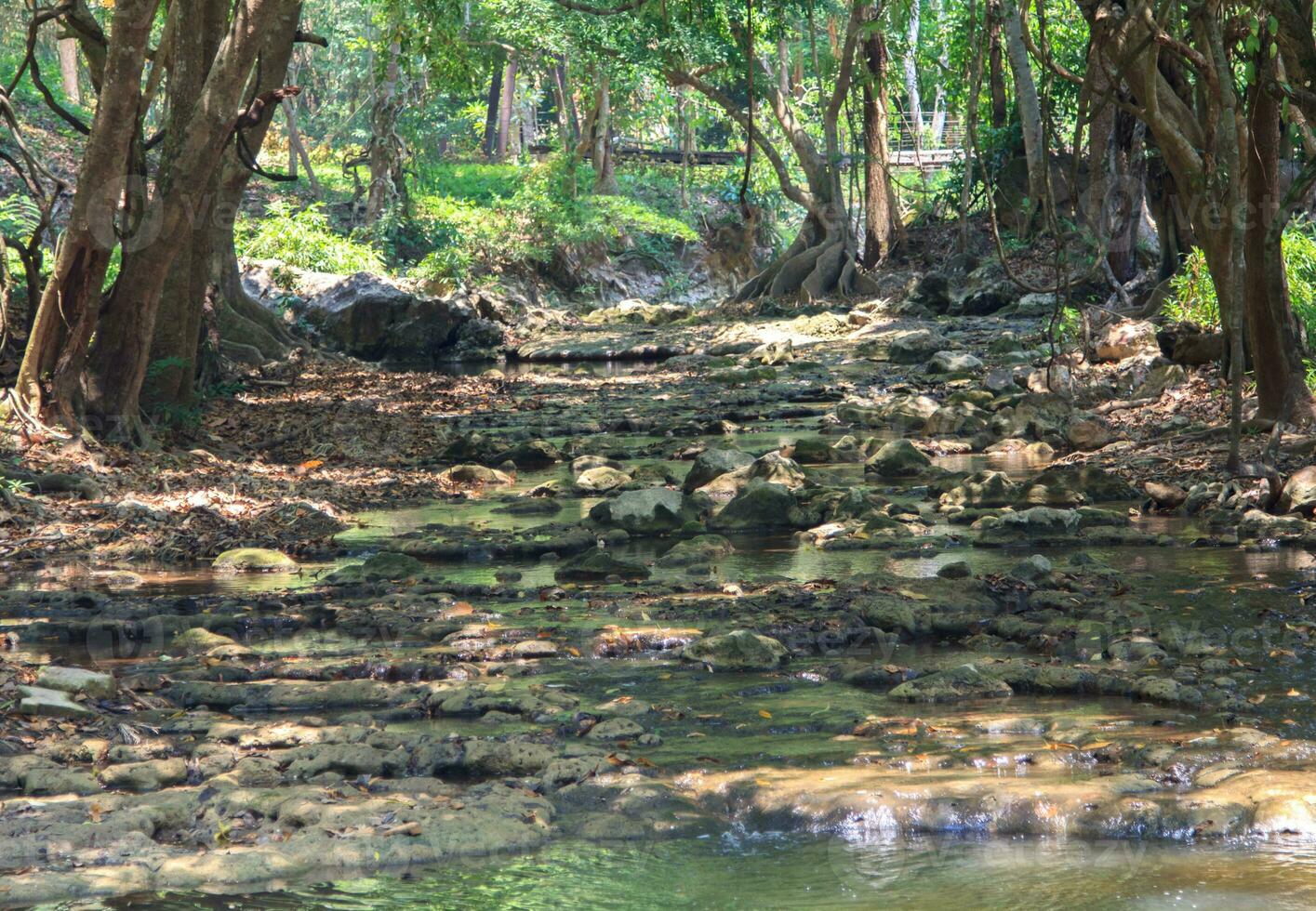 Arches of natural trees and rocks form a path that leads down to a natural waterfall. It is a beautiful upstream forest in the dry season. Overlooking the outstanding rocks and trees. photo