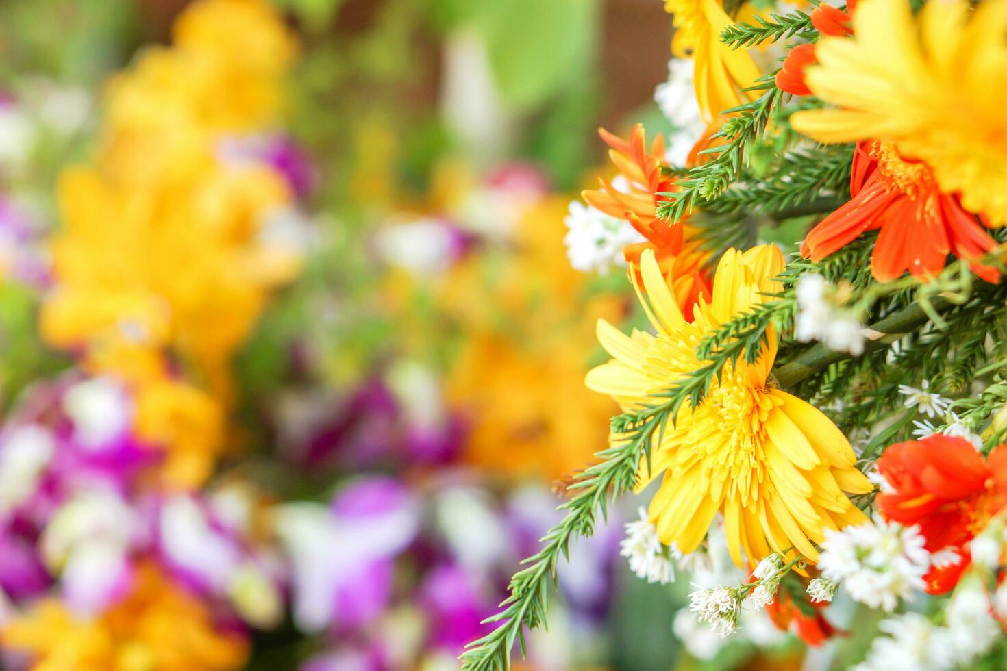 Closeup beautiful yellow flowers with decoration plants and colorful flowers on blurry background. photo