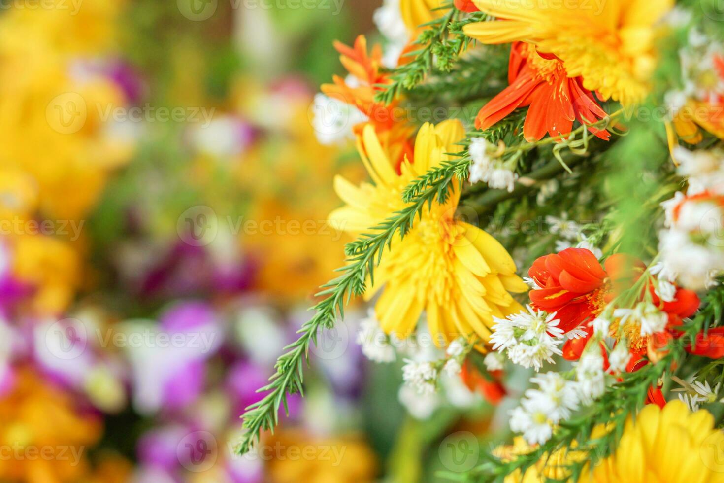 Closeup beautiful yellow flowers with decoration plants and colorful flowers on blurry background. photo