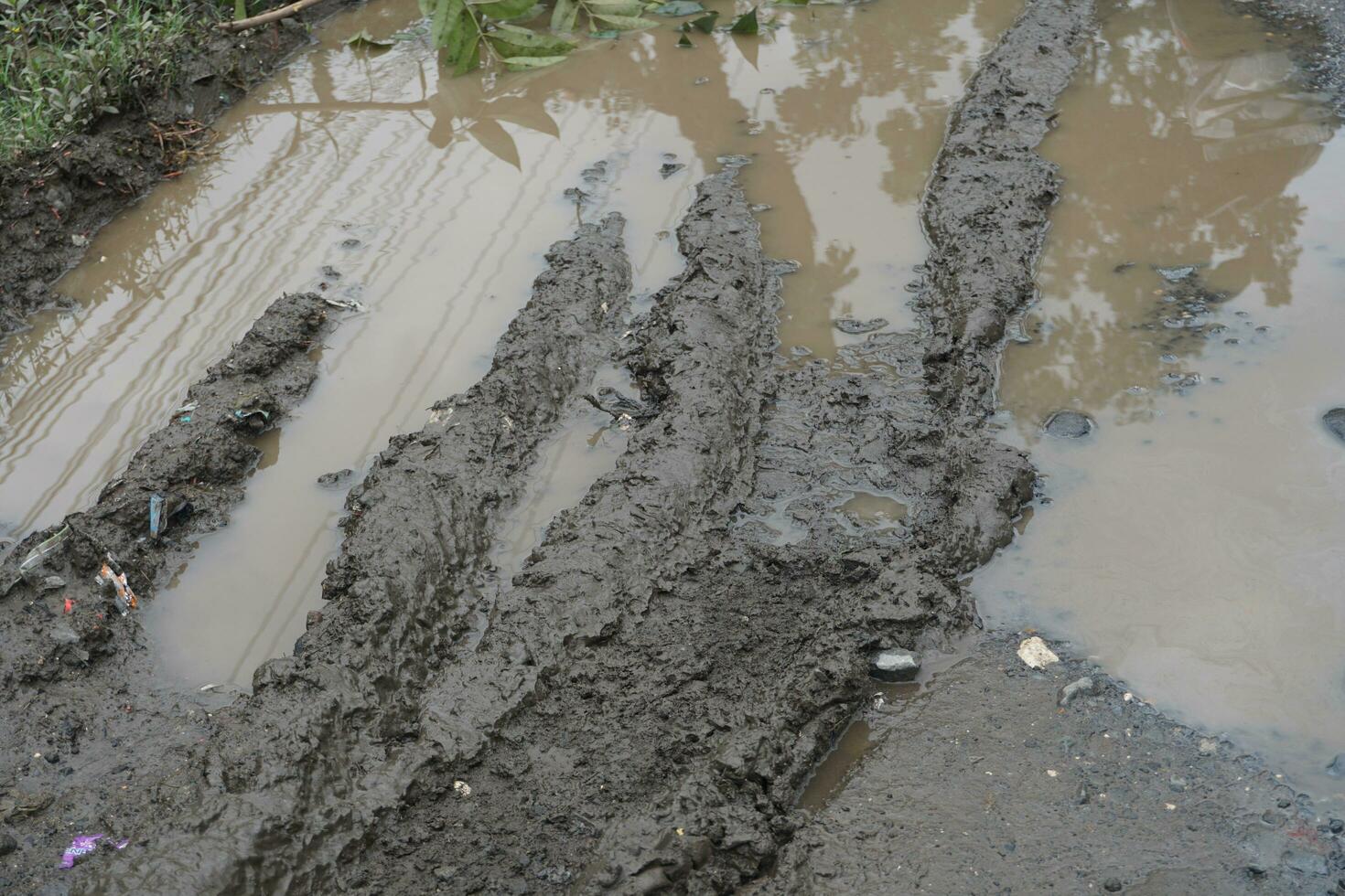 you can see the muddy ground from the rain photo