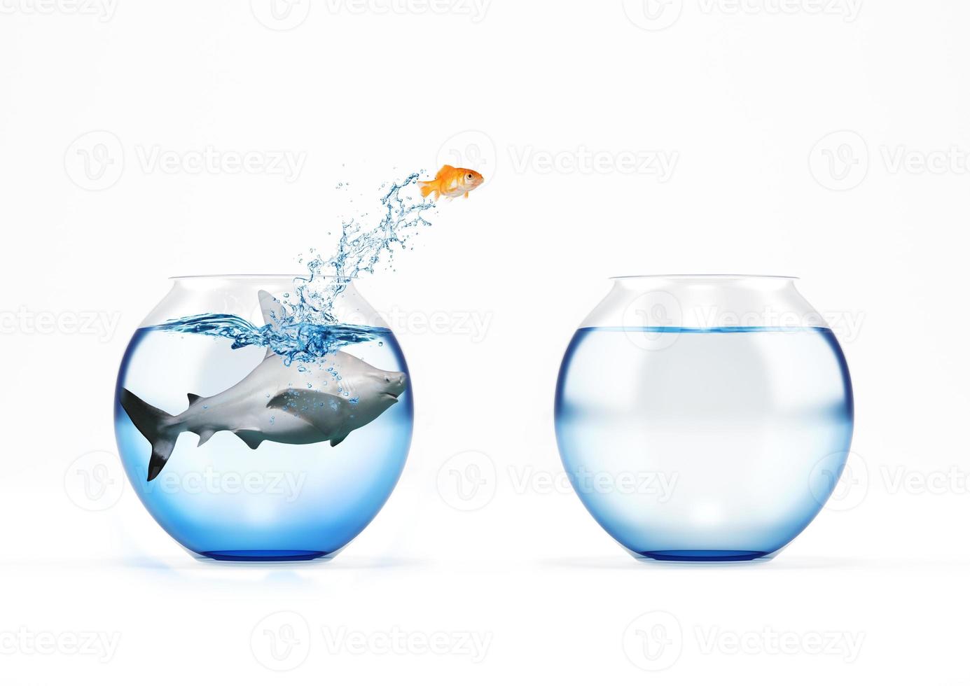 Red fish jumps to another cruet because it is afraid of a shark photo