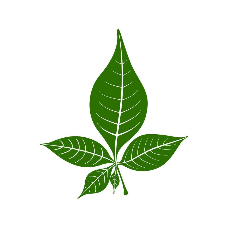 The five Bilva leaf Belpatra vector icon