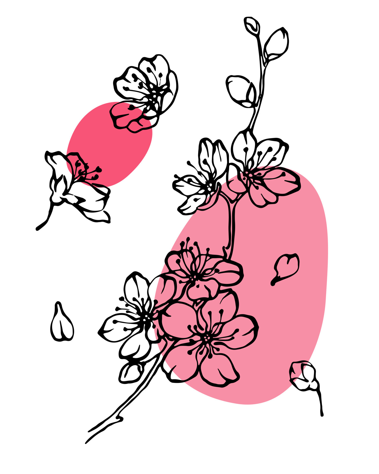 Spring cherry blossom set of outline flower drawings with abstrat pink