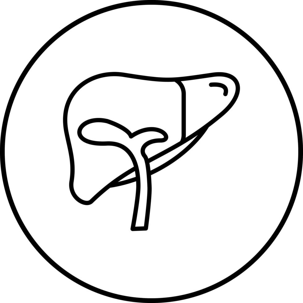Liver Vector Icon