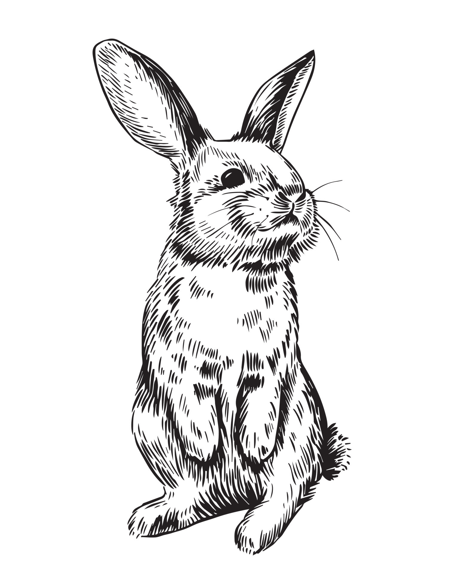 Easter bunny card pen and ink drawing Drawing by Karen Kaspar - Fine Art  America