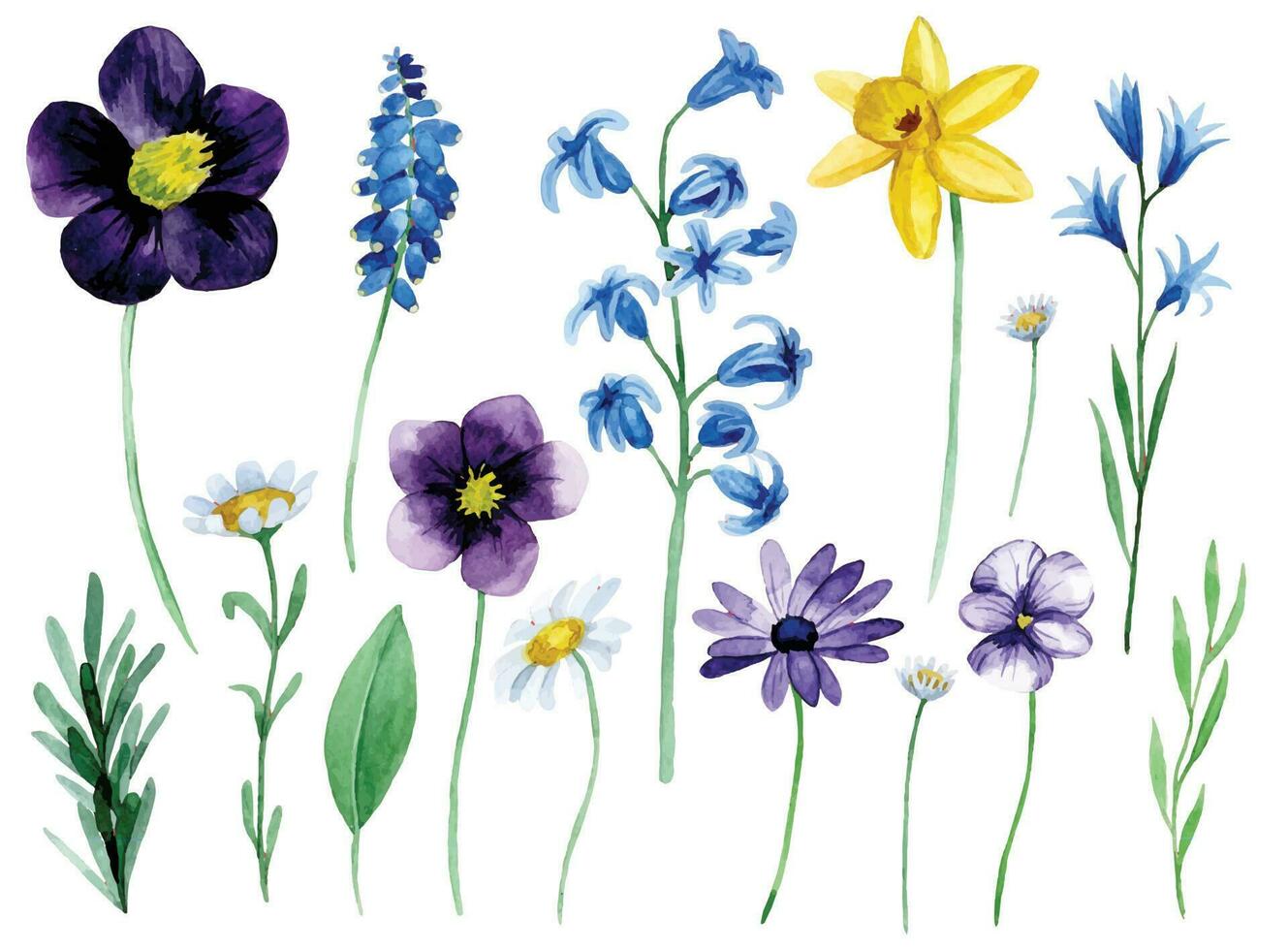 watercolor set with wildflowers spring flowers on a dark background. vector