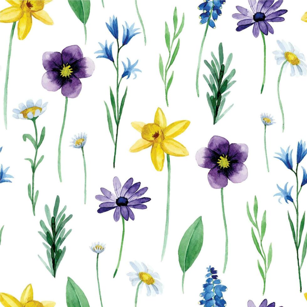 watercolor seamless pattern with wildflowers spring flowers on a white background. vector