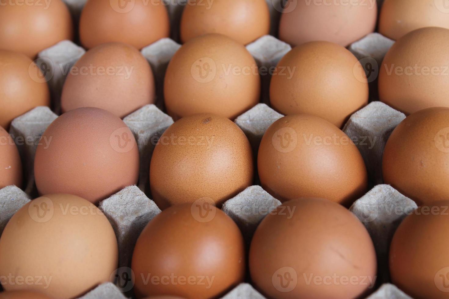 Lots of brown chicken eggs in egg trays for sale. photo