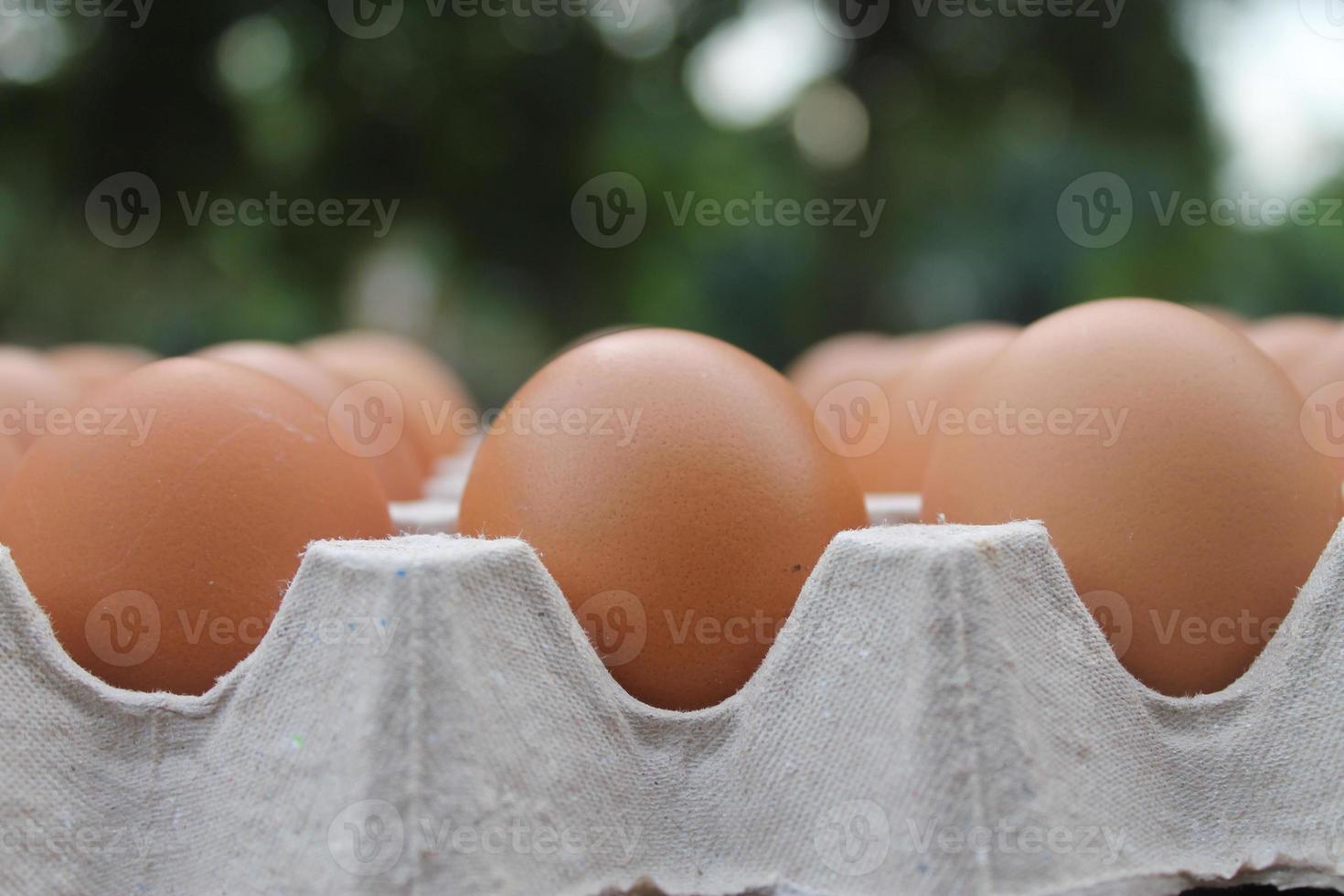 Lots of brown chicken eggs in egg trays for sale. photo