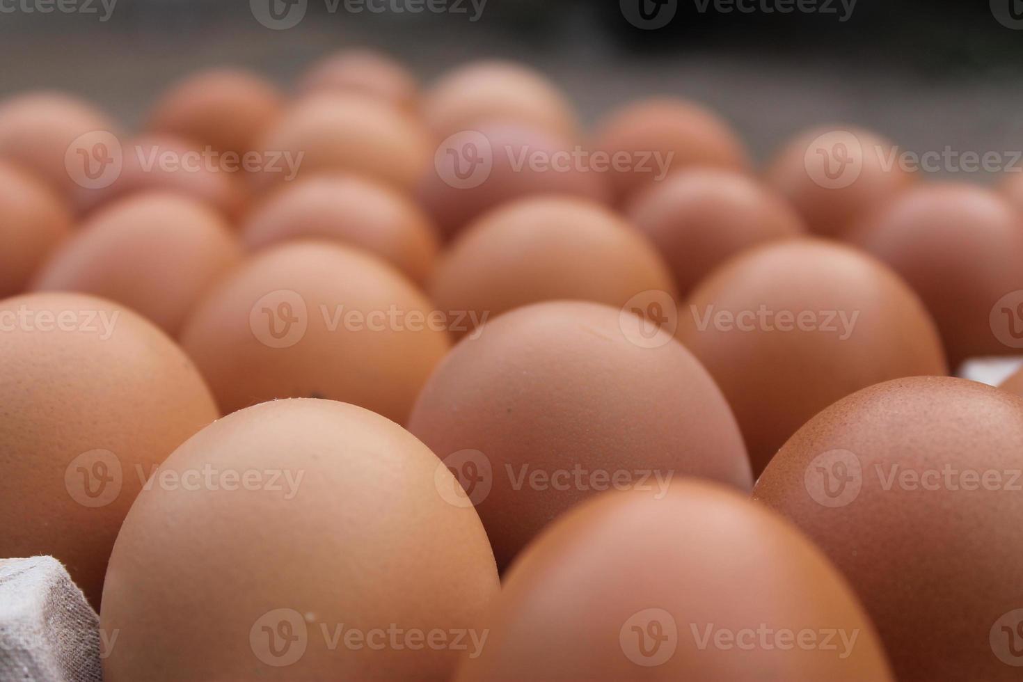 Lots of brown chicken eggs in egg trays for sale. photo