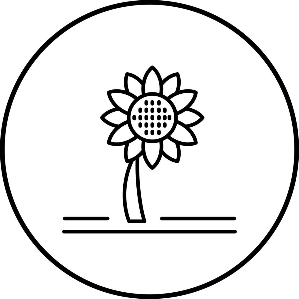 Sunflower Vector Icon