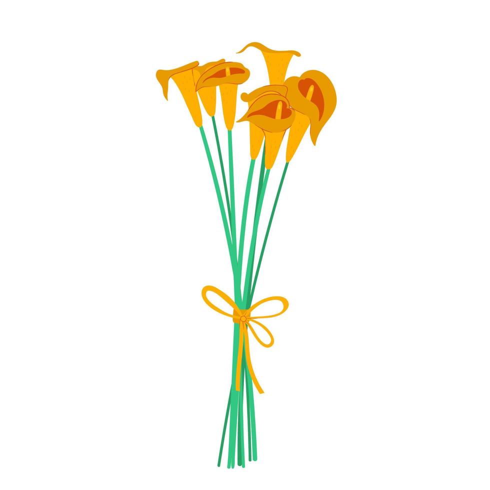 Bouquet of calla lilies isolated on a white background. Vector graphics.